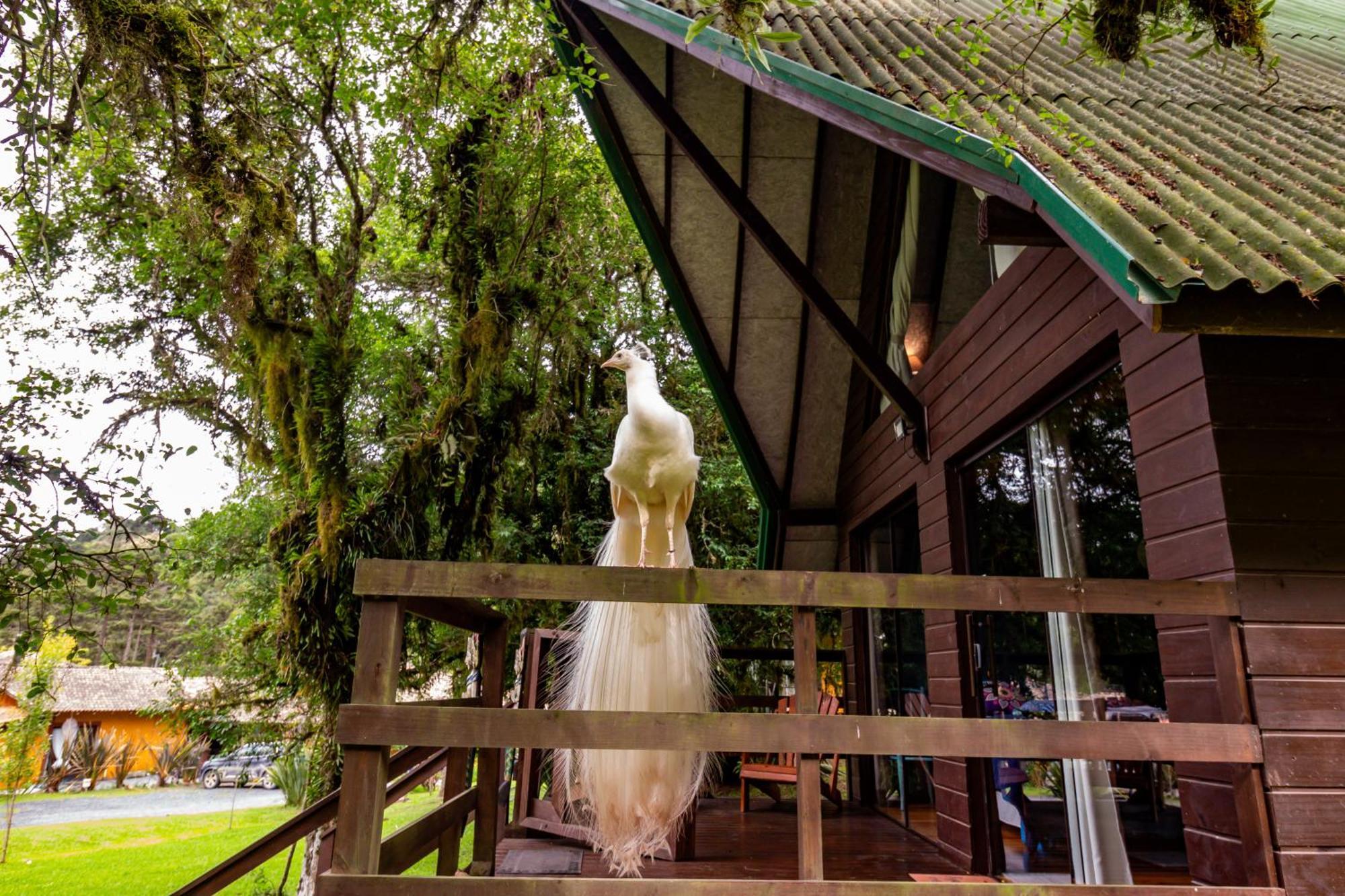 Pousada Jardim do Buda Suítes e Chalés Urubici Exterior foto